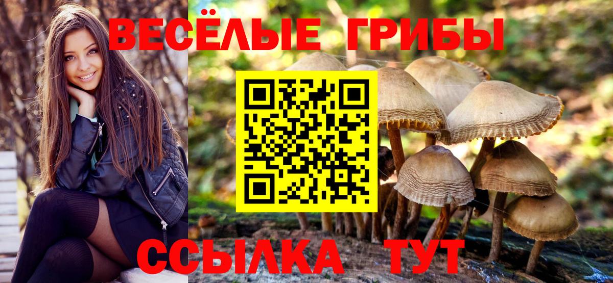 Галлюциногенные грибы MAGIC MUSHROOMS  Вход с VPN  Домодедово 