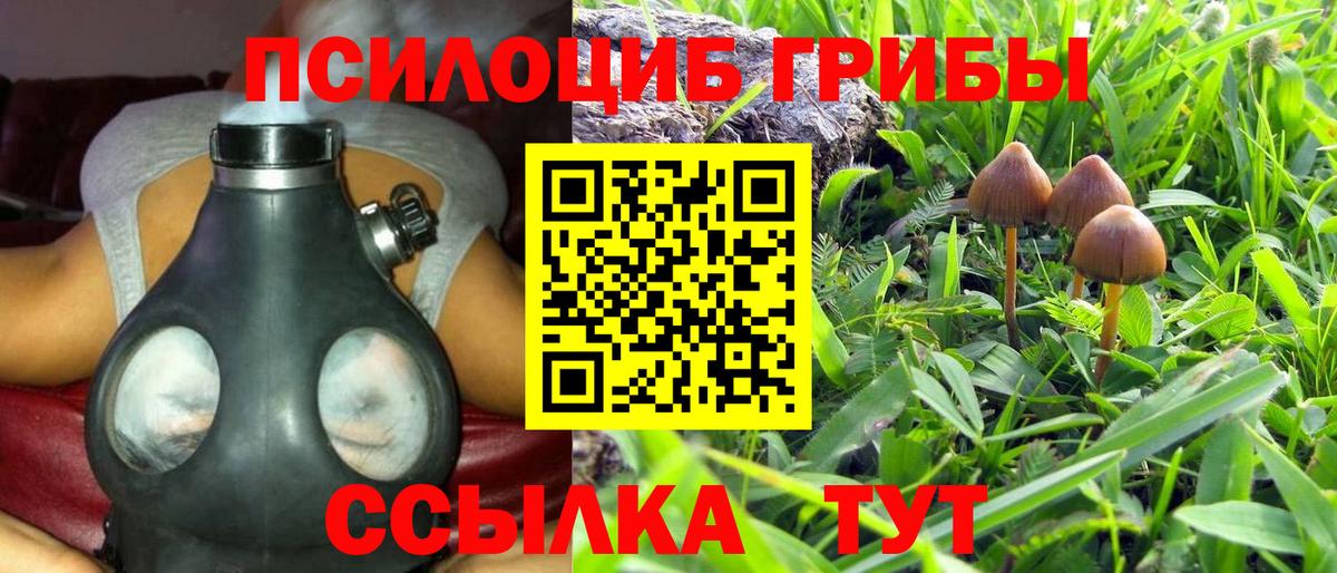 Галлюциногенные грибы мицелий Домодедово